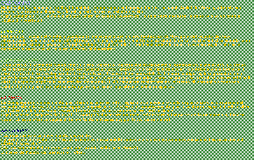 Casella di testo: CASTORINI Nella Colonia, nome dell�unit�, i bambini s�immergono nel mondo fantastico degli Amici del Bosco, affrontando insieme, attraverso il gioco, alcuni spunti ed occasioni di crescita. Ogni bambino tra i 5 e gli 8 anni pu� unirsi in questa avventura, le sole cose necessarie sono buona volont� e voglia di divertirsi! LUPETTI Nel branco, nome dell�unit�, i bambini si immergono nel mondo fantastico di Mowgli e del popolo dei lupi, affrontando insieme e per lo pi� attraverso il gioco, alcuni spunti ed occasioni di crescita, che poi si concretizzano nella progressione personale. Ogni bambino tra gli 8 e gli 11 anni pu� unirsi in questa avventura, le sole cose necessarie sono buona volont� e voglia di divertirsi! ESPLORATORI Il Reparto � il nome dell�unit� che riunisce ragazzi e ragazze dal dodicesimo al sedicesimo anno di et�. Lo scopo della branca � quello di infondere nei ragazzi un alto concetto morale dei loro doveri, contribuendo a formare il carattere e il fisico, sviluppando il senso civico, il senso di responsabilit�, di onore e dignit�, insegnando come perfezionare la preparazione personale, come vivere in una comunit�, come bastare a se stessi ed essere utili agli altri. Il Reparto esplica la sua attivit� favorendo il pi� completo realizzarsi del sistema di Pattuglia e tenendo conto che i migliori risultati si ottengono operando in pratica e nell�aria aperta.ROVERSLa Compagnia � un momento per stare insieme ad altri ragazzi e condividere delle esperienze che spaziano dal volontariato alle uscite in montagna o in qualche citt� d�arte o semplicemente per incontrare ragazzi di altre citt� o di altre nazioni facendo tesoro di ogni cosa vissuta per crescere tutti insieme. Ogni ragazzo o ragazza dai 16 ai 19 anni pu� diventare un rover ed entrare a far parte della Compagnia, l�unica cosa richiesta � tanta voglia di fare e tanto entusiasmo, poi tutto verr� da se! SENIORES�Lo scautismo � un movimento giovanile: i giovani sono i fruitori dell�associazione ed i soci adulti sono coloro che mettono in condizione l�associazione di offrire il servizio.�(dal documento del Bureau Mondiale �Adulti nello Scautismo�)Il nome dell�unit� dei seniors � il Clan. 